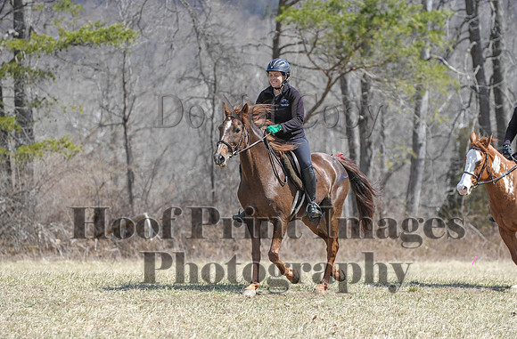 Chesapeake(4-4-15)0560