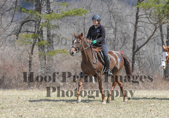 Chesapeake(4-4-15)0561