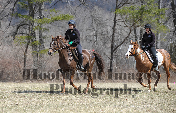 Chesapeake(4-4-15)0562