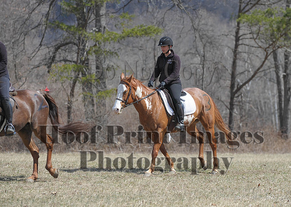 Chesapeake(4-4-15)0563