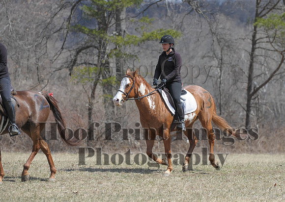 Chesapeake(4-4-15)0564