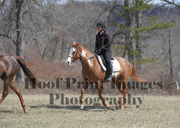 Chesapeake(4-4-15)0565