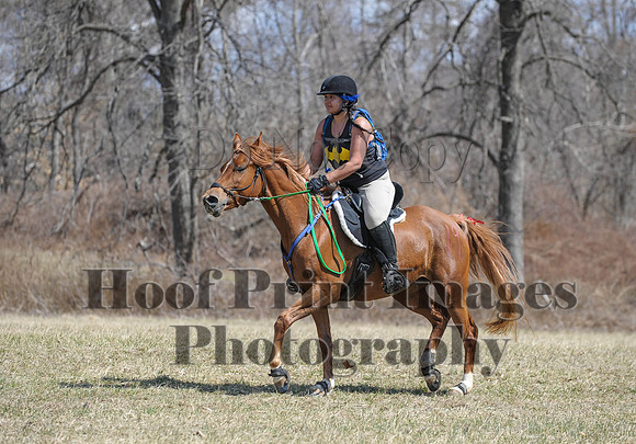 Chesapeake(4-4-15)0569