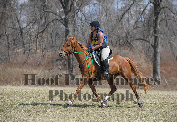 Chesapeake(4-4-15)0570