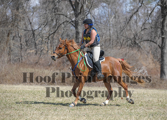 Chesapeake(4-4-15)0571