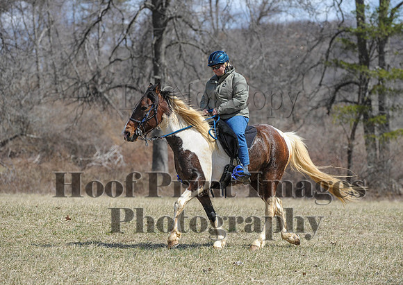 Chesapeake(4-4-15)0577
