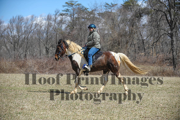 Chesapeake(4-4-15)0579