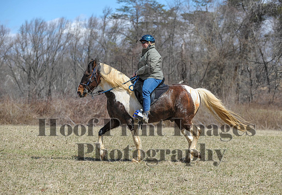 Chesapeake(4-4-15)0580