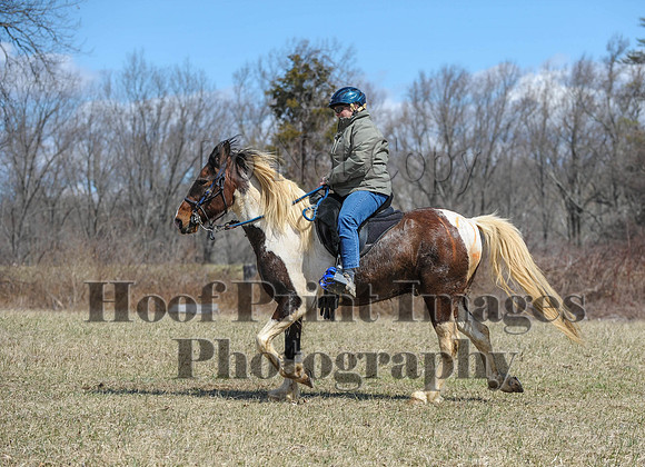 Chesapeake(4-4-15)0581
