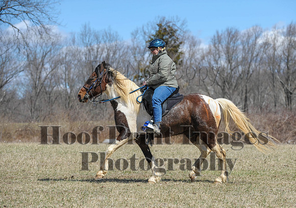Chesapeake(4-4-15)0582