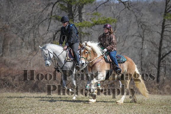 Chesapeake(4-4-15)0588
