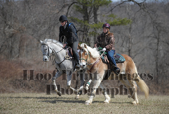 Chesapeake(4-4-15)0589