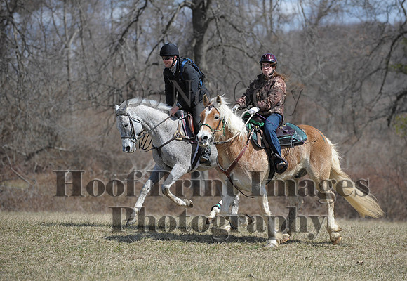 Chesapeake(4-4-15)0590
