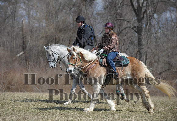 Chesapeake(4-4-15)0592