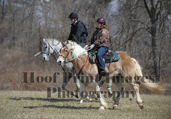 Chesapeake(4-4-15)0593