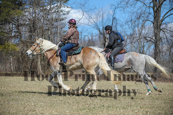 Chesapeake(4-4-15)0595