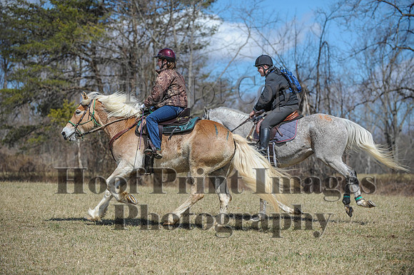 Chesapeake(4-4-15)0596