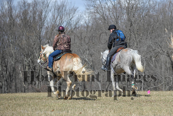 Chesapeake(4-4-15)0597