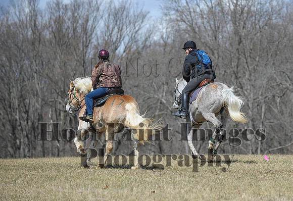 Chesapeake(4-4-15)0598