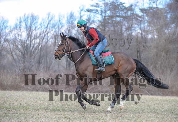 Chesapeake(4-4-15)0599