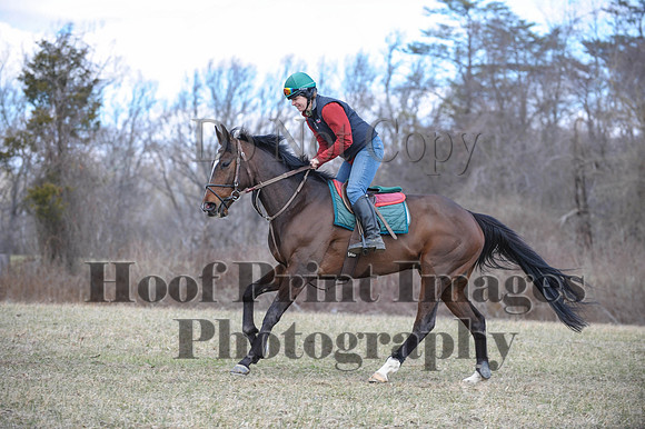 Chesapeake(4-4-15)0600