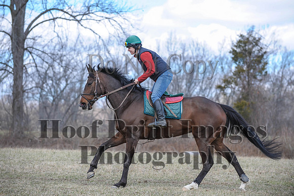 Chesapeake(4-4-15)0601
