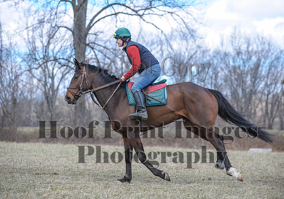 Chesapeake(4-4-15)0602