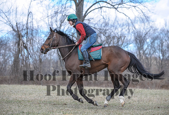 Chesapeake(4-4-15)0603