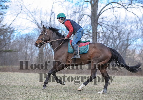 Chesapeake(4-4-15)0604