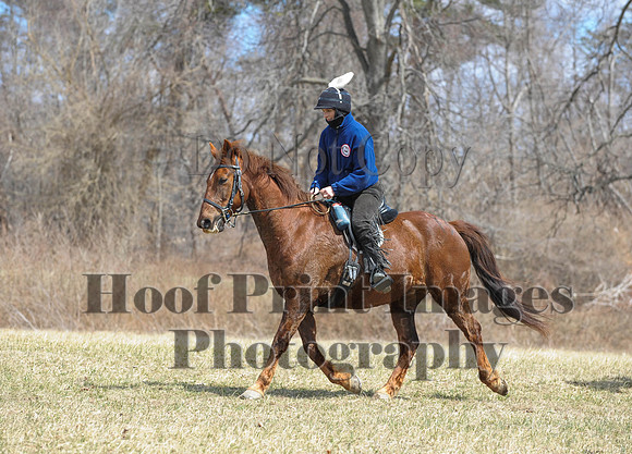 Chesapeake(4-4-15)0610