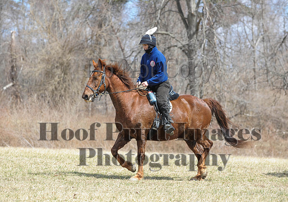 Chesapeake(4-4-15)0611