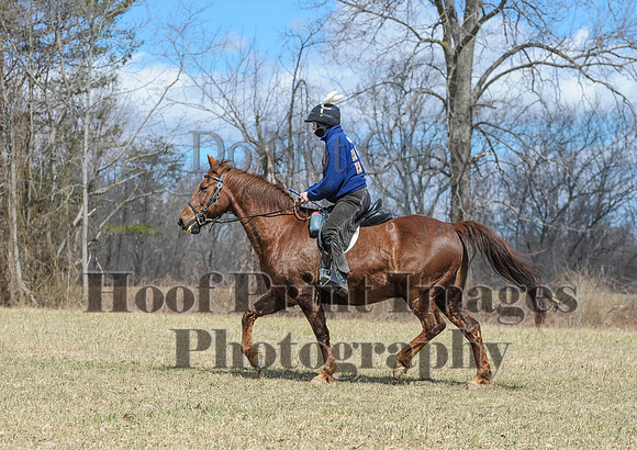 Chesapeake(4-4-15)0614