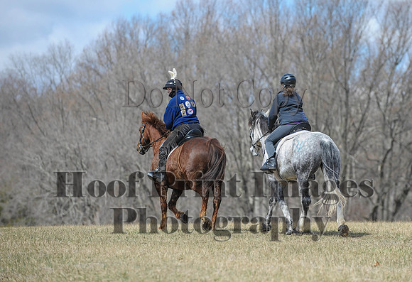 Chesapeake(4-4-15)0619