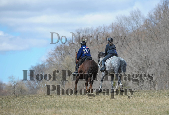 Chesapeake(4-4-15)0621