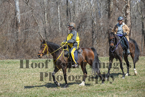 Chesapeake(4-4-15)0623