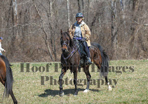 Chesapeake(4-4-15)0624