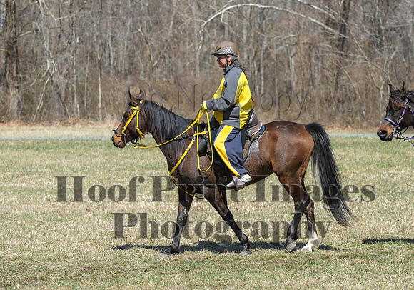 Chesapeake(4-4-15)0625