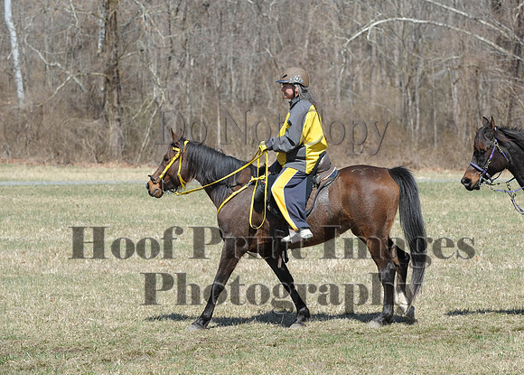 Chesapeake(4-4-15)0626