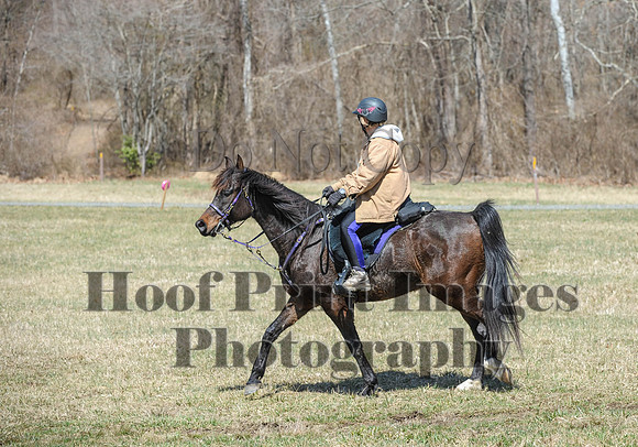 Chesapeake(4-4-15)0628