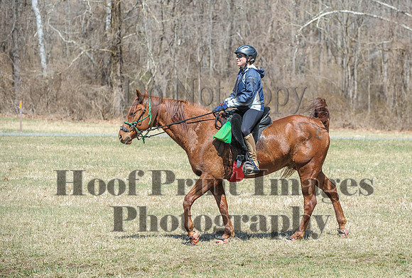 Chesapeake(4-4-15)0629