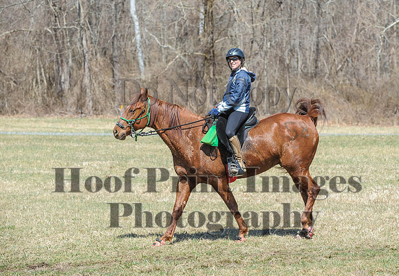 Chesapeake(4-4-15)0630