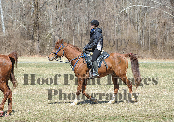 Chesapeake(4-4-15)0631
