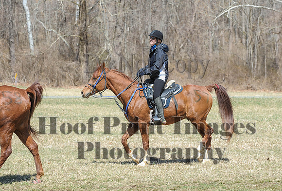 Chesapeake(4-4-15)0632