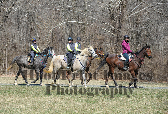 Chesapeake(4-4-15)0633