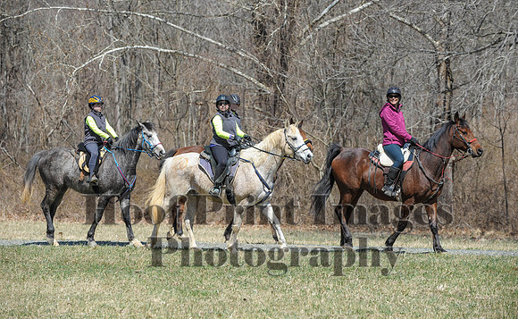 Chesapeake(4-4-15)0634