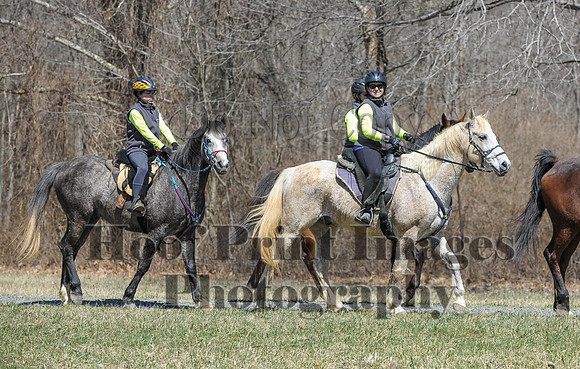 Chesapeake(4-4-15)0635