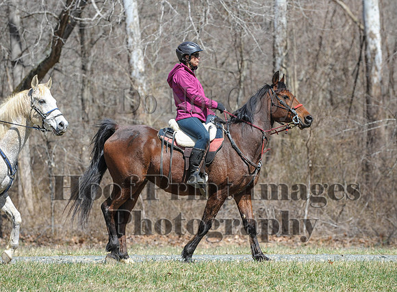 Chesapeake(4-4-15)0637