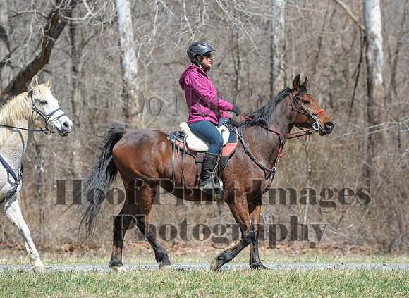 Chesapeake(4-4-15)0638