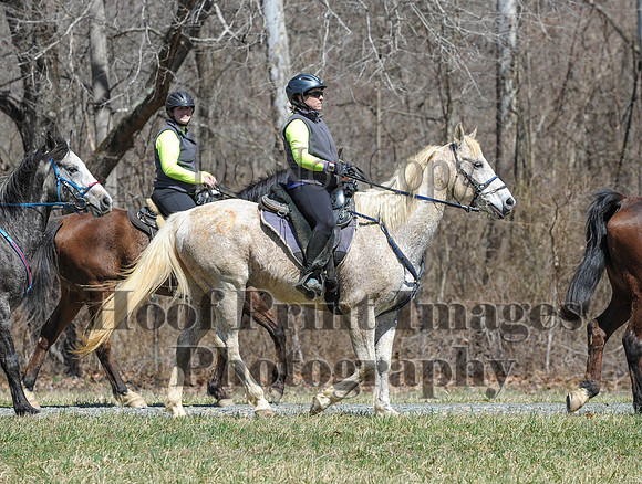 Chesapeake(4-4-15)0639
