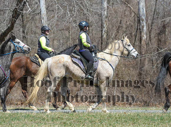 Chesapeake(4-4-15)0640
